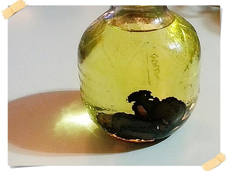 ����¶��ʽ��������������