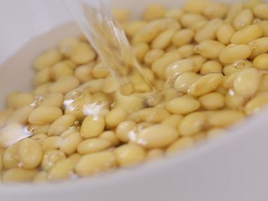 ź���ѵ�����