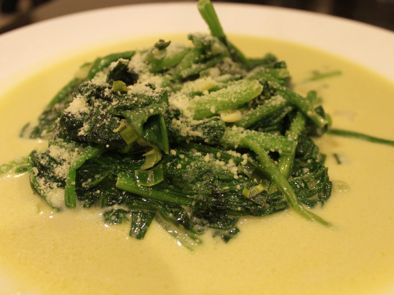 �����Ͳ��˵�����