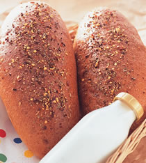 ��ŷ��԰���������