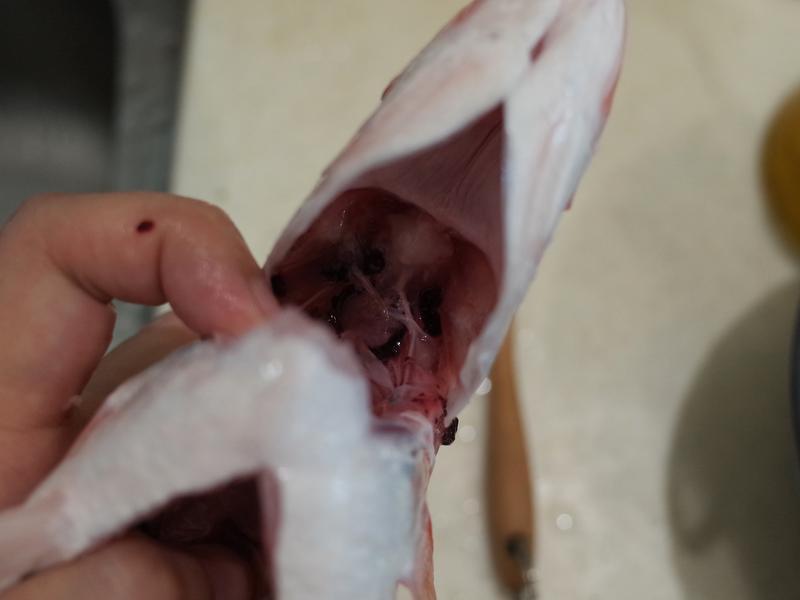 ���׺����淨ʽ�����������