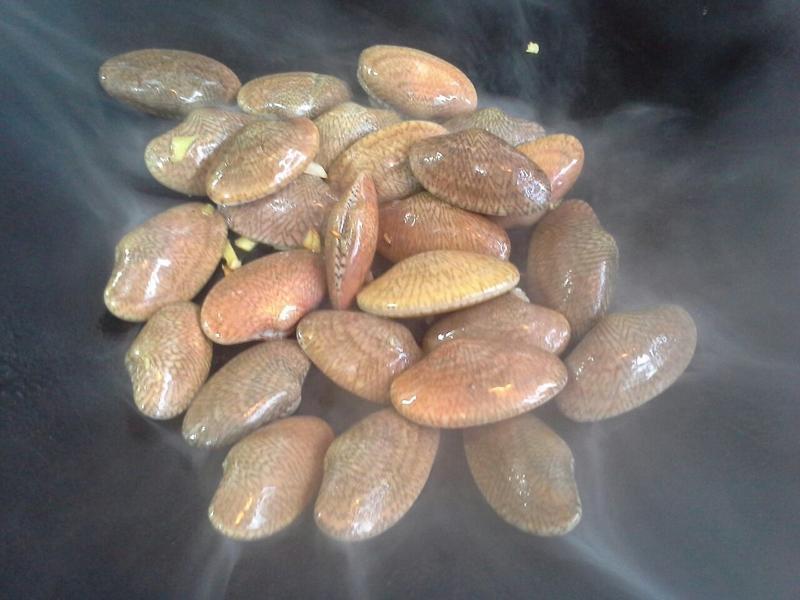 ���׾��󻨼ס�������