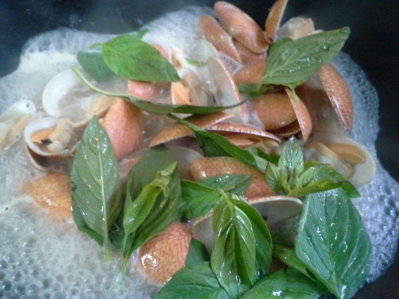 ���׾��󻨼ס�������