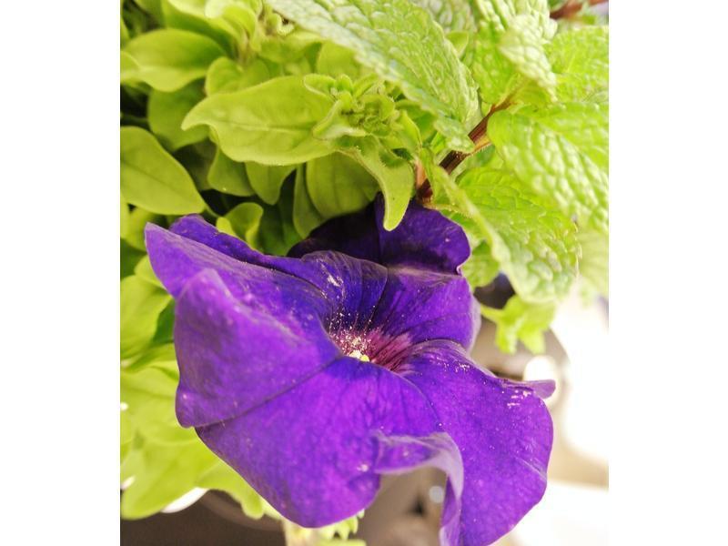 ��ʽ����ˮ��������