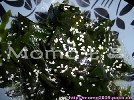 ���躣�������