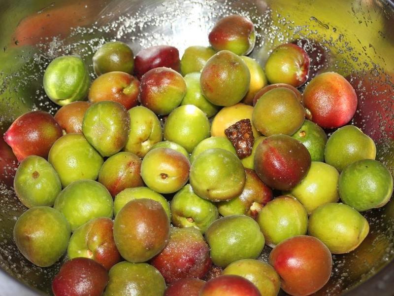 �Z���ӵ�����