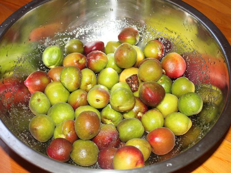 �Z���ӵ�����