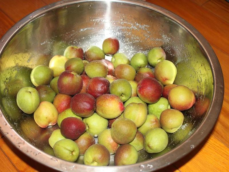 �Z���ӵ�����