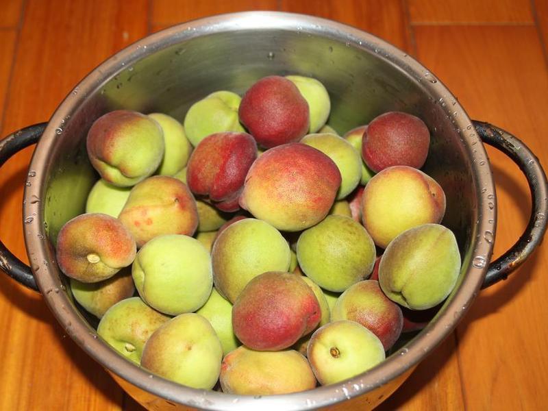 �Z���ӵ�����