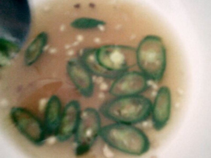 ̩ʽ-��Ϻ����ɳ��������