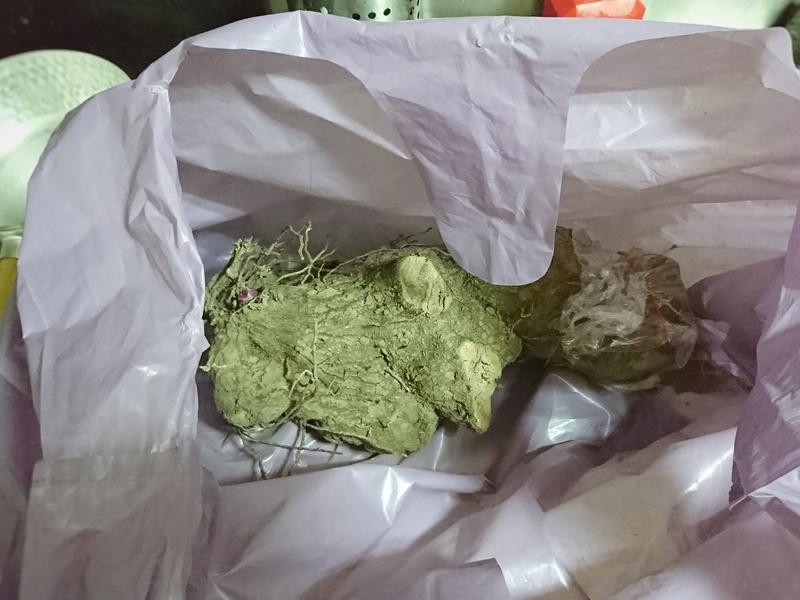 ҩ������Ź���������