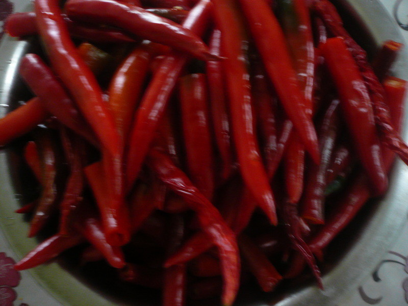 ѻƬ������������