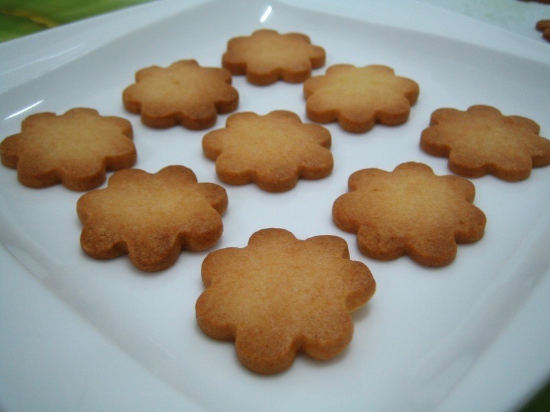 ���ױ��ɵ�����