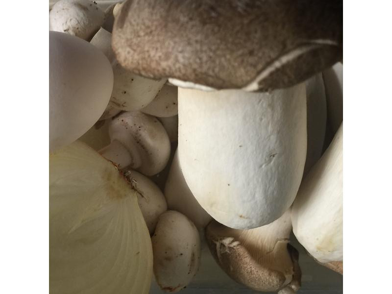 ��������������