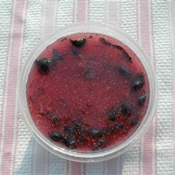 �����ݮ��������