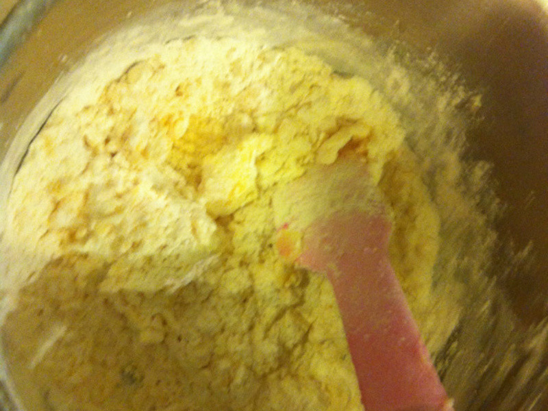 �ڹ겤�����������