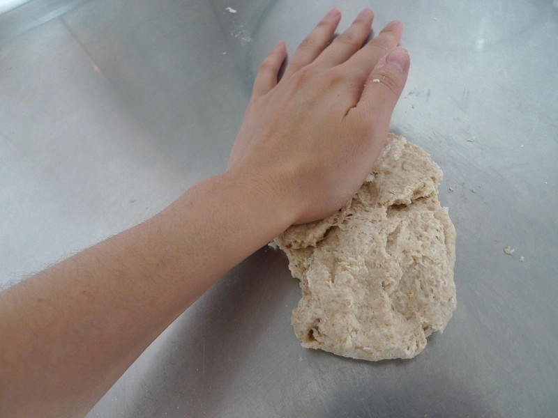 ȫ����۱���������