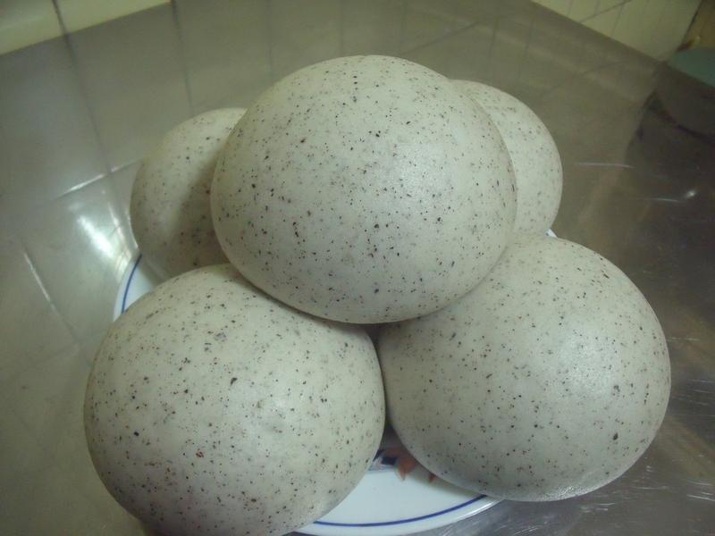 ��֥��ɽ����ͷ������