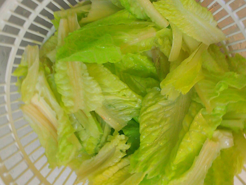 ������˾����-���ƽ�ĩɳ��������