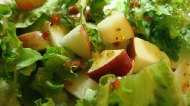 �ҵĴ�Ůɳ��������