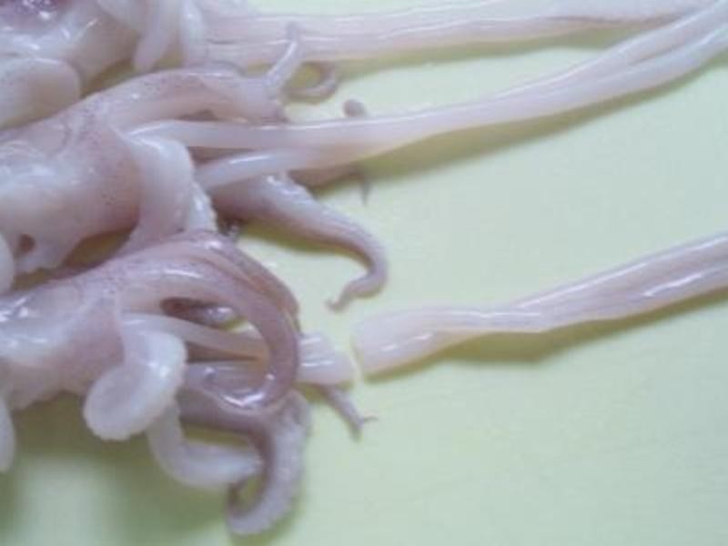 ������׺���������ػ�֦���׷�������