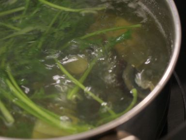 ܾ��Ƥ������Ƭ��������