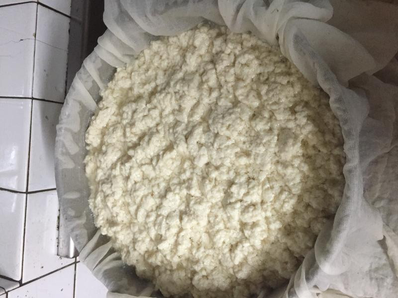 ���ư״׵㶹��������