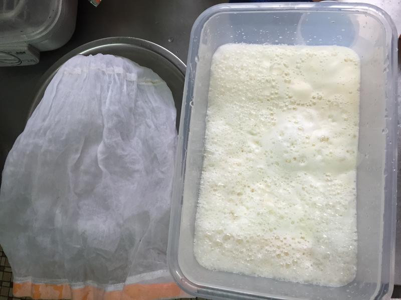 ���ư״׵㶹��������