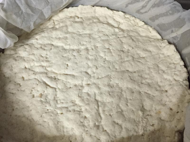 ���ư״׵㶹��������