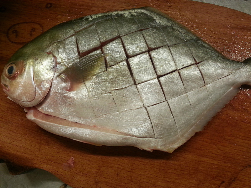 ��ɫ�ʽ������������