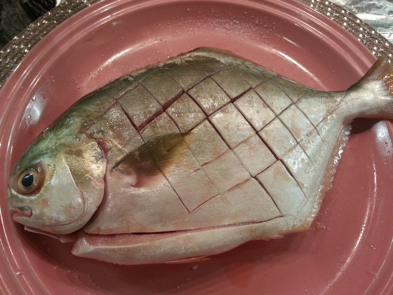 ��ɫ�ʽ������������