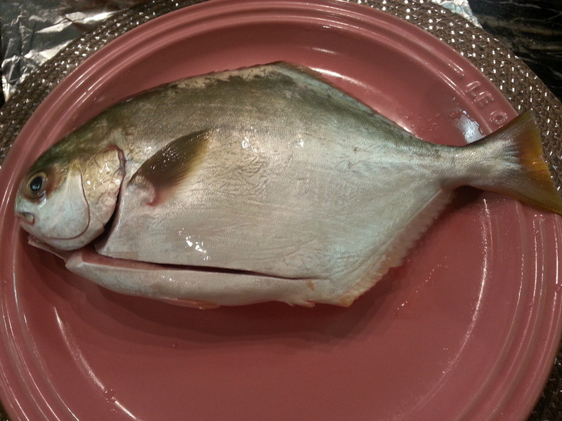 ��ɫ�ʽ������������