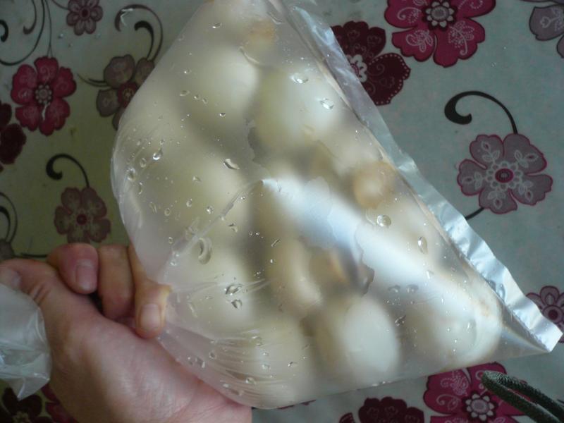 ��ζ�������Ģ��������