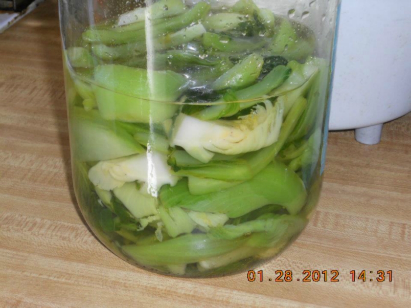 ����������˵�����