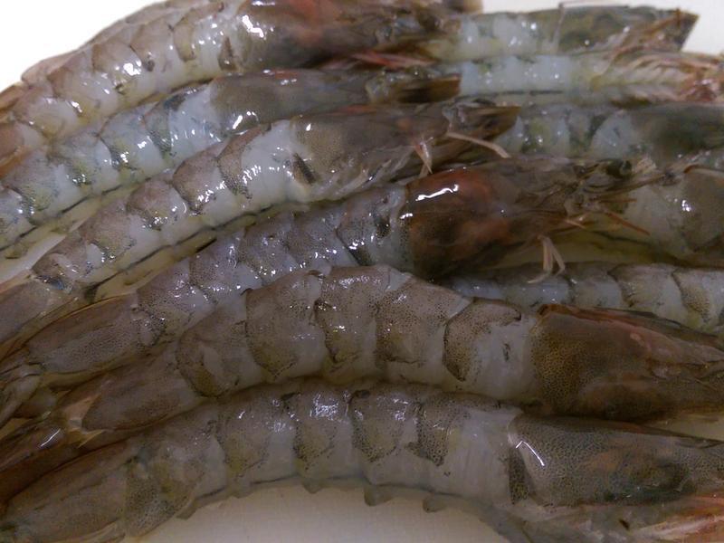 ��֭������Ϻ������