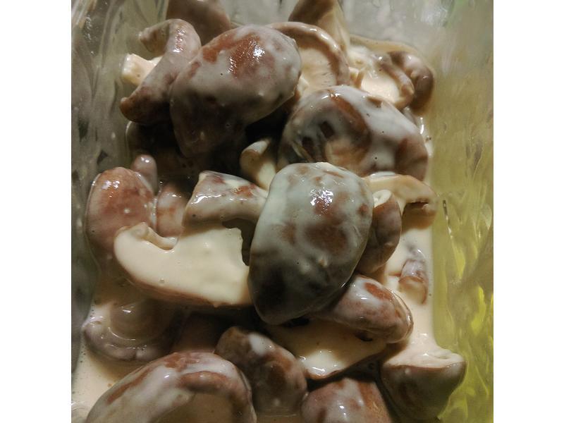 ը�㹽������