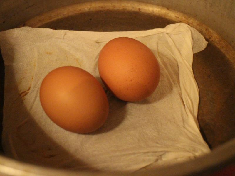 ����ˮ���ˮ�󵰵�����