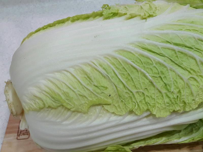 ������ײ�diy������