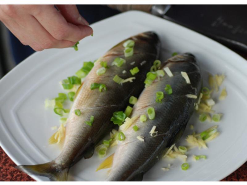 ̩ʽ�������������