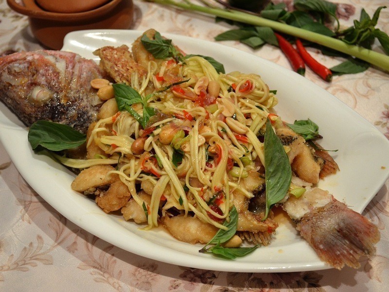 ̩ʽը�����â��������