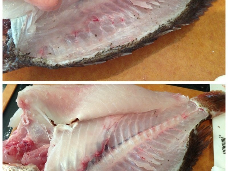 ̩ʽը�����â��������