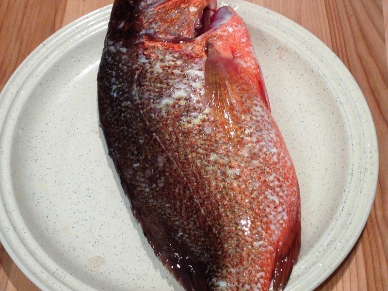 ̩ʽը�����â��������