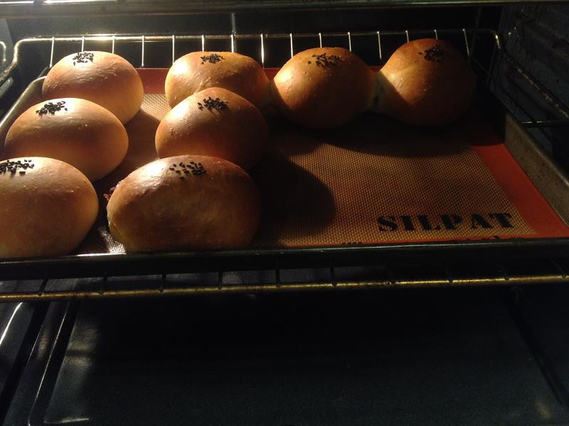 ţ�̺춹���������