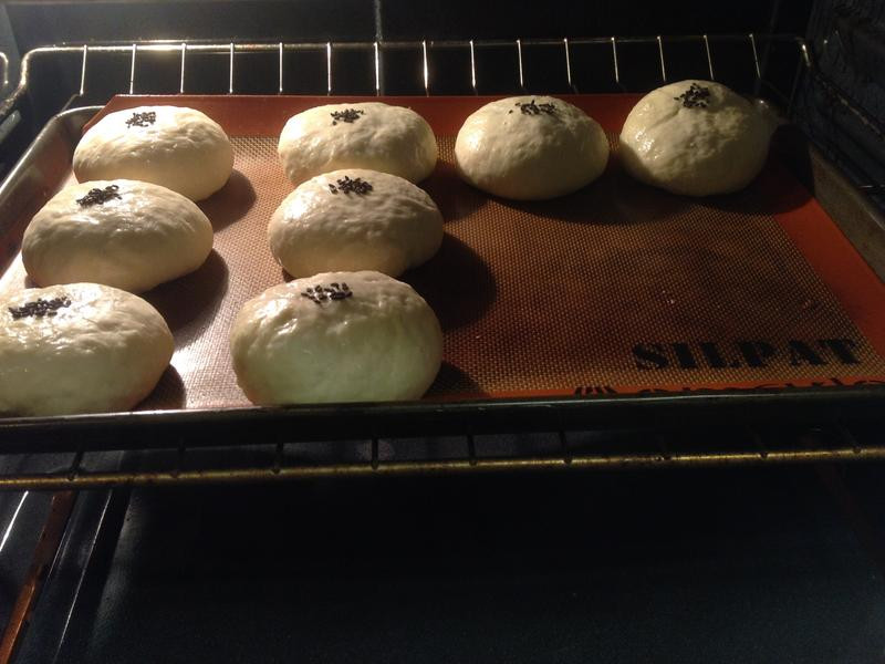 ţ�̺춹���������