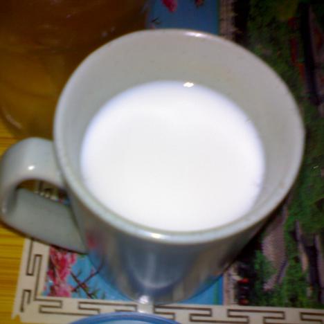 ����ţ�̵�����