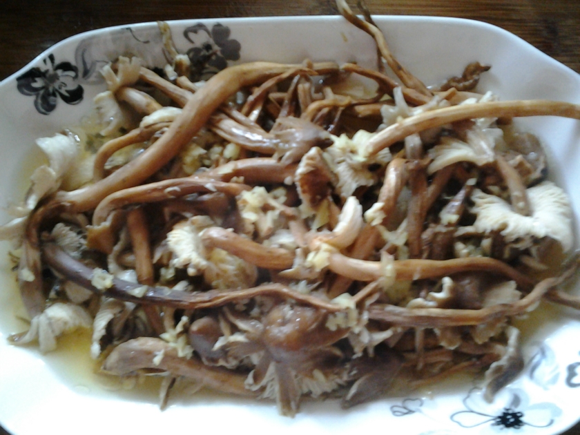 ������֦��������