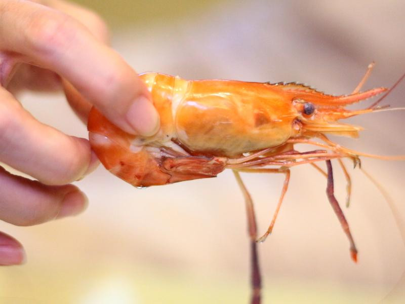 ΢������Ϻ������