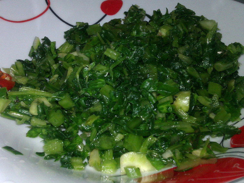 ��������ѩ��������