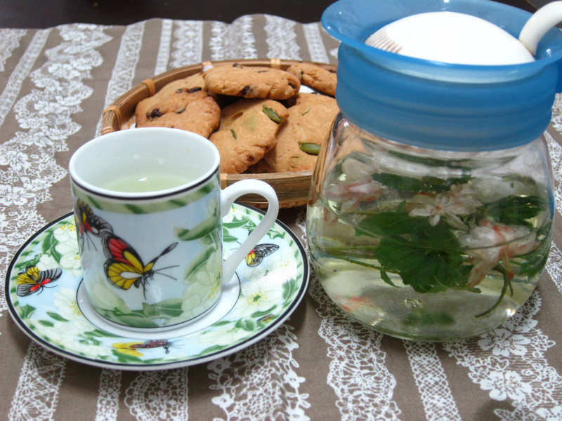 ���ݲ������