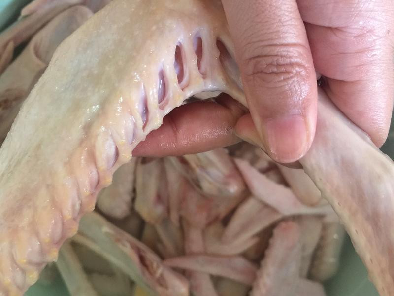 �¾Ʋ�±ζƴ�̵�����